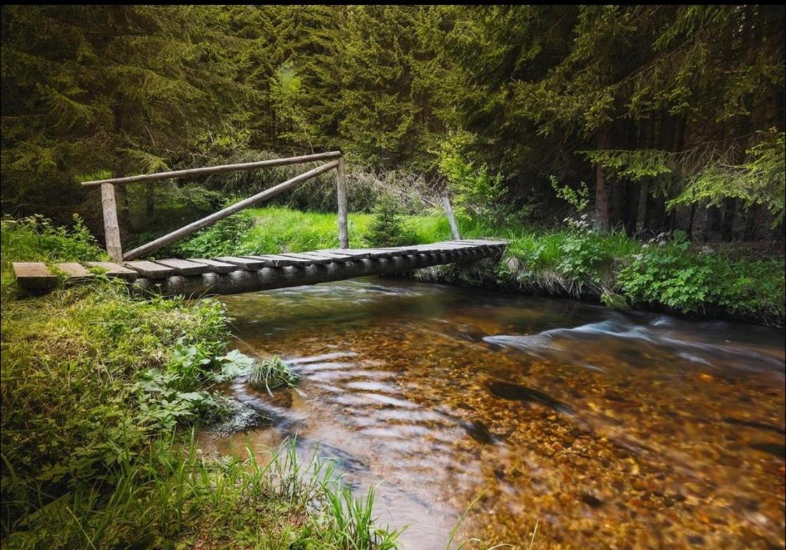 Apartments Suncani Vrhovi Kopaonik Dış mekan fotoğraf