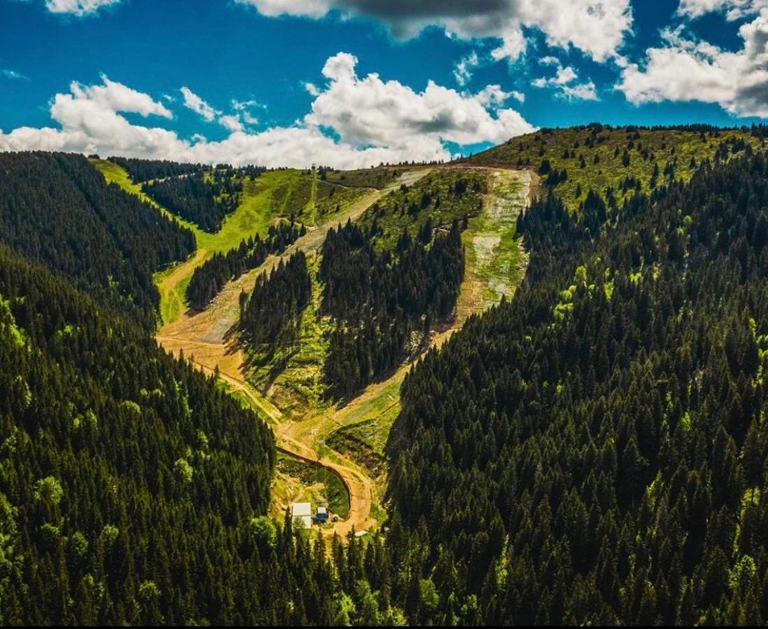 Apartments Suncani Vrhovi Kopaonik Dış mekan fotoğraf
