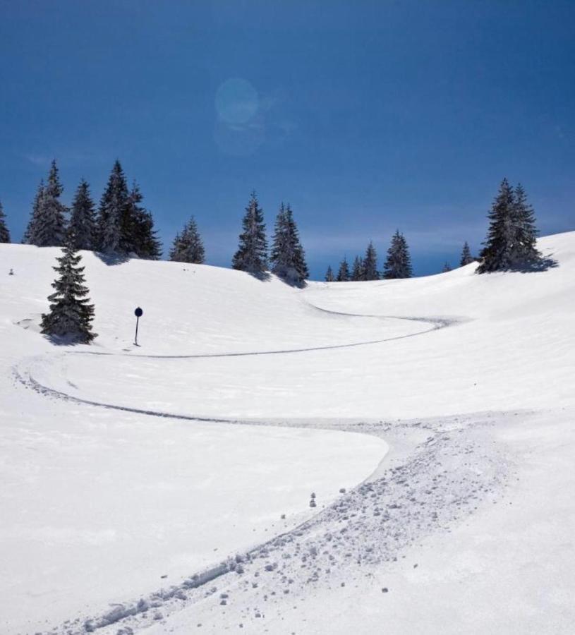 Apartments Suncani Vrhovi Kopaonik Dış mekan fotoğraf