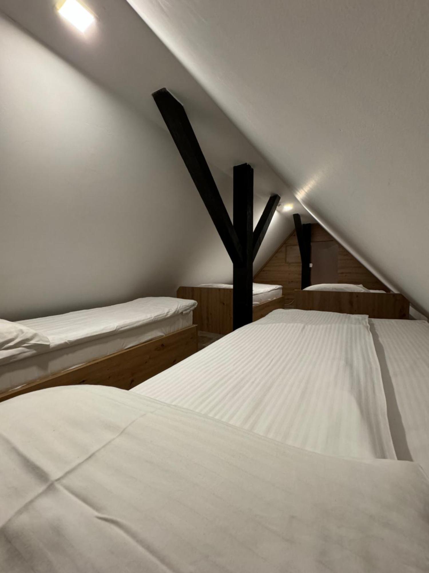 Apartments Suncani Vrhovi Kopaonik Dış mekan fotoğraf